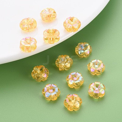 Transparent Acrylic Beads MACR-S373-06-C05-1