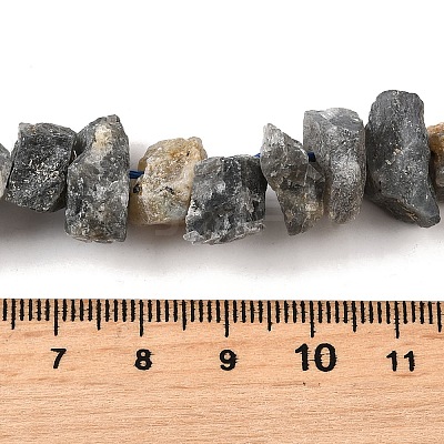 Natural Labradorite Beads Strands G-I283-F14-1