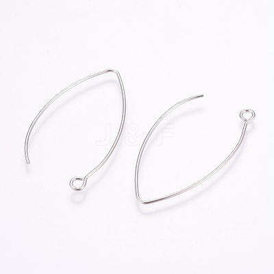 Tarnish Resistant 304 Stainless Steel Hook Earrings X-STAS-K148-10-1