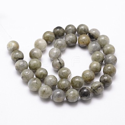 Natural Labradorite Bead Strands G-D840-64-12mm-1