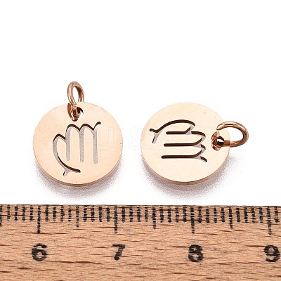 304 Stainless Steel Charms STAS-Q201-T445-6R-1