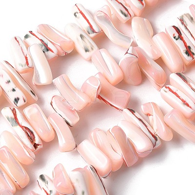 Dyed Natural Trochus Shell Beads Strands SSHEL-C013-09L-1