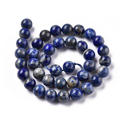 Natural Lapis Lazuli Round Bead Strands X-G-E262-01-10mm-1