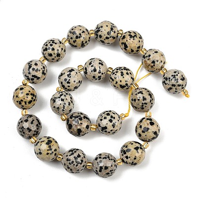 Natural Dalmatian Jasper Beads Strands G-C249-A02-16mm-1