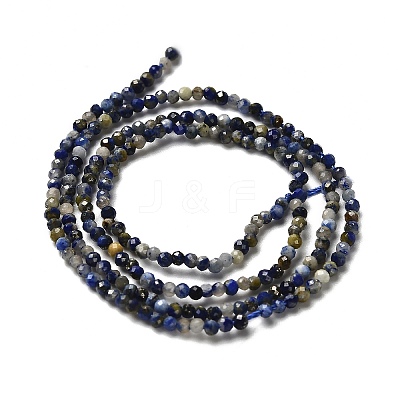 Natural Lapis Lazuli Beads Strands LS-G-RM2025-A21-2mm-1