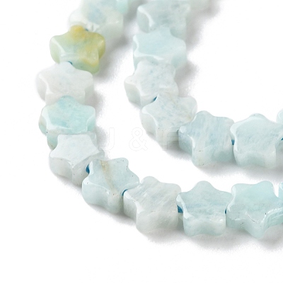 Natural Amazonite Beads Strands G-G085-B45-02-1