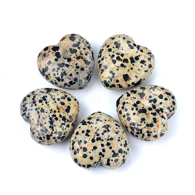 Natural Dalmatian Jasper Healing Stones PW-WGA91AE-11-1