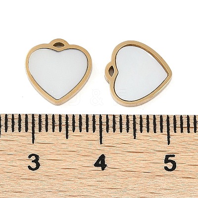Ion Plating(IP) 304 Stainless Steel Charms STAS-D193-01G-1