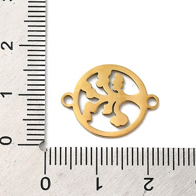 304 Stainless Steel Connector Charms LS-STAS-D013-02A-G-1