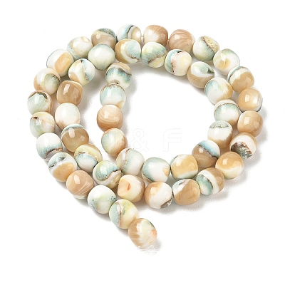 Natural Seashell Shell Beads Strands SH-CBAFEDD-01A-1