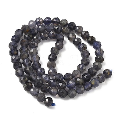 Natural Iolite Beads Strands G-J400-E05-02B-1