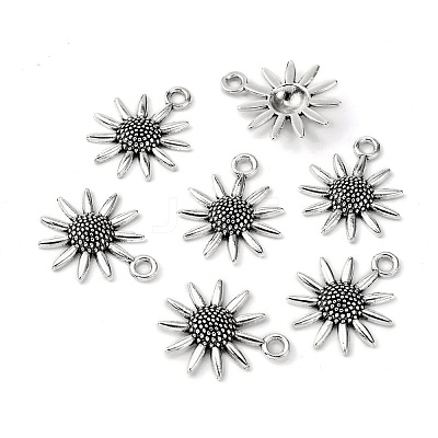 Tibetan Style Alloy Pendant LF8977Y-1