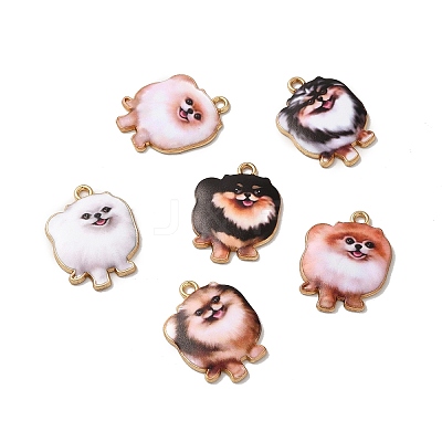 Alloy Pendants PALLOY-E028-01LG-1