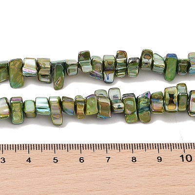 Natural Freshwater Shell Beads Strands BSHE-H018-07C-1