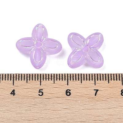Frosted Transparent Acrylic Beads OACR-P029-09B-04-1