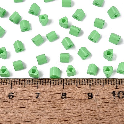 FGB Baking Paint Glass Seed Beads SEED-Q040-09A-12-1