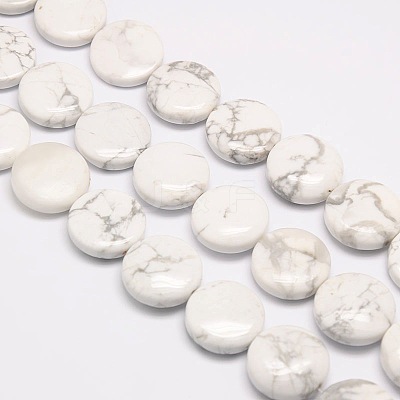 Natural Flat Round Crackle Howlite Beads Strands G-L246-04-1