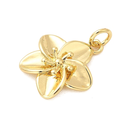 Brass Pendants KK-A266-14G-1