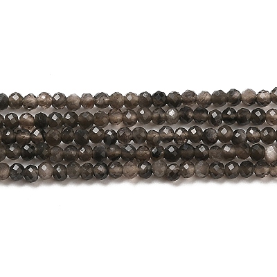 Natural Silver Sheen Obsidian Beads Strands LS-G-E608-A02-A-1