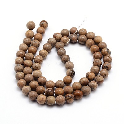 Natural Picture Jasper Round Bead Strands G-J303-08-8mm-1