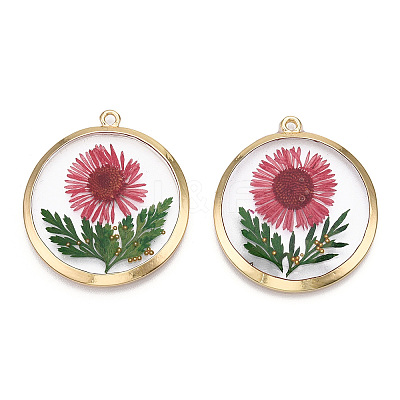 Alloy Epoxy Resin Pendants X1-PALLOY-TAC0044-82-1