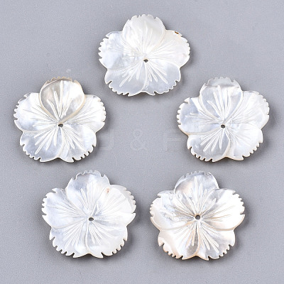 Natural White Shell Mother of Pearl Shell Beads SSHEL-N032-18-1
