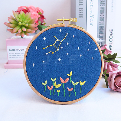 Flower & Constellation Pattern 3D Bead Embroidery Starter Kits DIY-P077-090-1