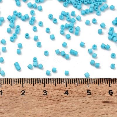 Baking Paint Glass Seed Beads X-SEED-S042-05B-58-1