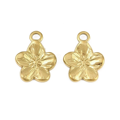 304 Stainless Steel Charms STAS-L317-02G-1