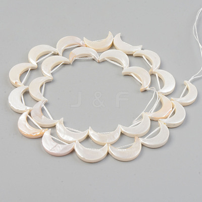 Electroplate Natural Freshwater Shell Beads Strands SHEL-T017-16D-1