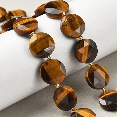 Natural Tiger Eye Beads Strands G-C116-A162-03-1