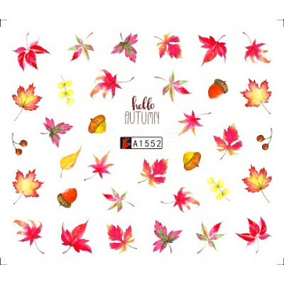 Nail Art Water Transfer Sticker MRMJ-Q080-A1552-1