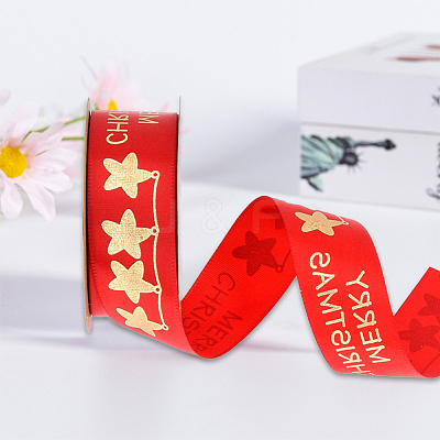 Polyester Ribbon SRIB-P018-B02-1