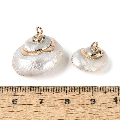 Electroplate Natural Spiral Shell Pendants SSHEL-N042-09-1