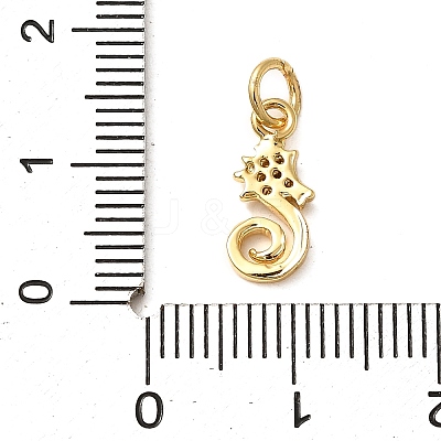 Brass Micro Pave Clear Cubic Zirconia Charms LS-KK-Q040-04B-G-1