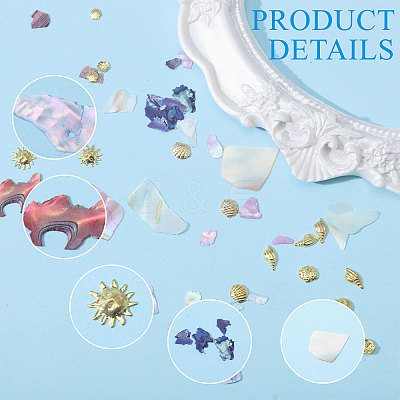 Ocean Theme 3 Sets 3 Styles Abalone Shell/Paua Shell/Alloy Chips MRMJ-CA0001-52-1
