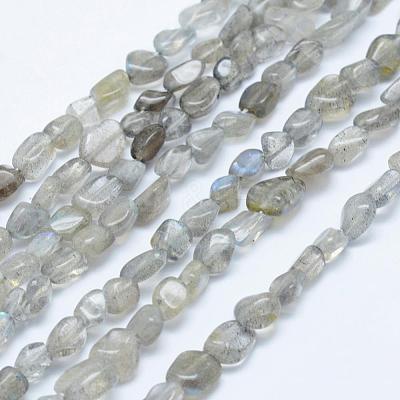 Natural Labradorite Beads Strands G-K203-12-1