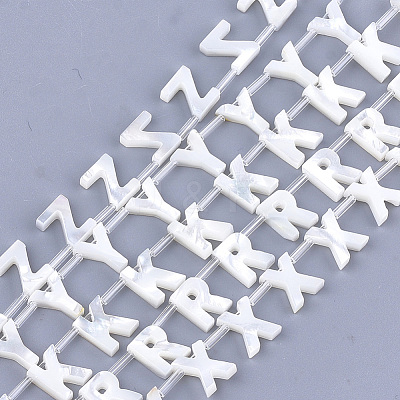 Natural Sea Shell Beads SHEL-T012-60-1