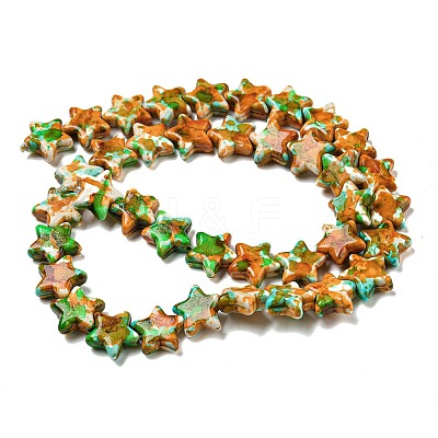 Spray Painted Synthetic Turquoise Beads Strands G-E617-A04-02-1