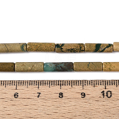 Natural Verdite Stone Beads Strands G-T141-71-1