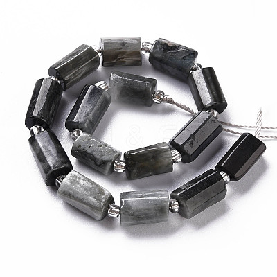Natural Hawk's Eye Beads Strands X-G-S345-8x11-009-1