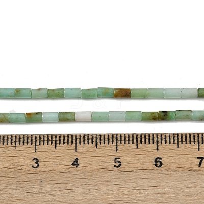 Natural Chrysoprase Beads Strands G-M389-22-1