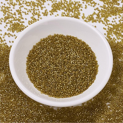 MIYUKI Delica Beads X-SEED-J020-DB0909-1