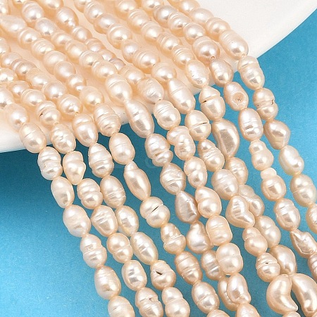Natural Cultured Freshwater Pearl Beads Strands PEAR-D003-01D-08-1