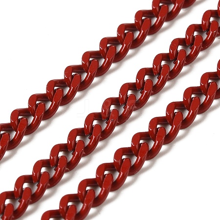 Spray Painted 304 Stainless Steel Curb Chains STAS-B067-05B-08-1