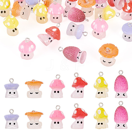 24Pcs 6 Styles Resin Pendants with Platinum Tone Iron Loops RESI-TA0004-17-1