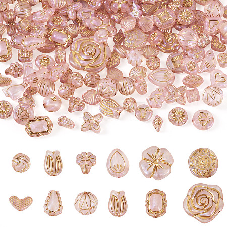 100G Transparent Acrylic Beads OACR-BT0001-05D-1