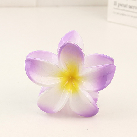 Plastic Claw Hair Clip LS-OHAR-PW0003-036C-1