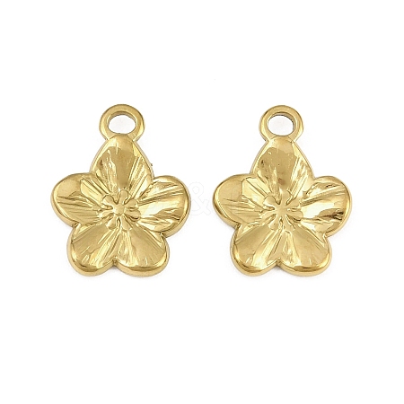 304 Stainless Steel Charms STAS-L317-02G-1
