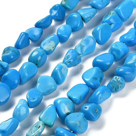Natural Howlite Beads Strands LS-G-P497-01E-37-1